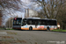 Van Hool NewA330 n°8156 (XCD-305) sur la ligne 46 (STIB - MIVB) à Bruxelles (Brussel)
