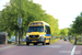 Mercedes-Benz Sprinter III Altas Cityline n°1906 (44-BZR-7) sur la ligne 75 (Qbuzz Fryslân) à Tzummarum