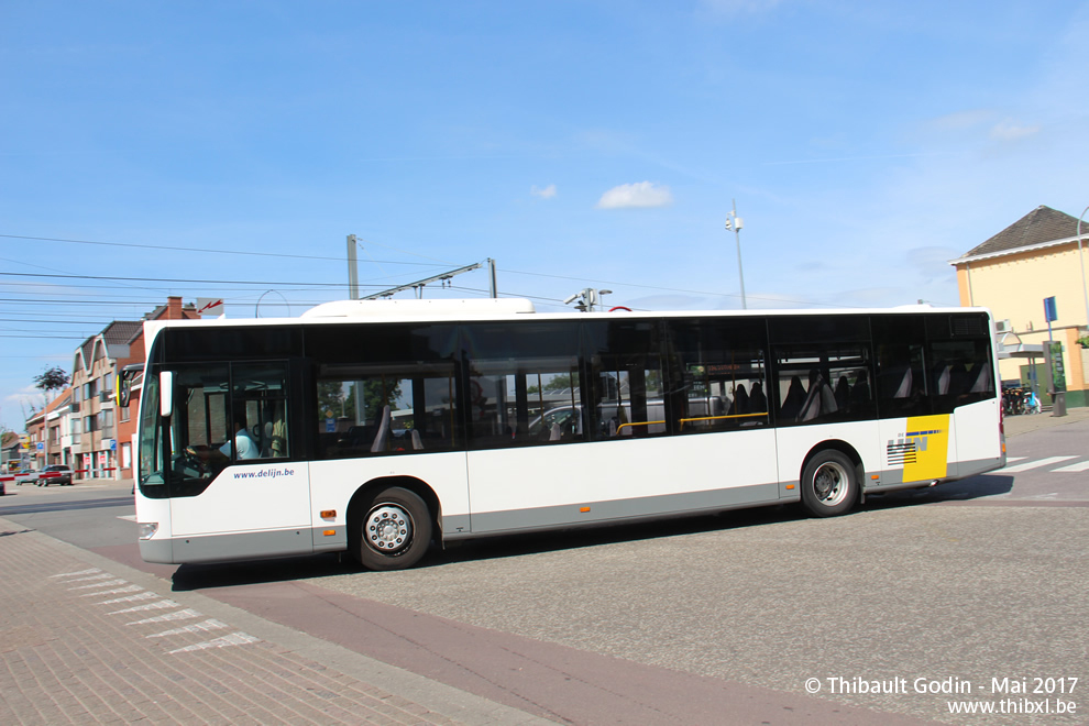 Componeren heerlijkheid Arbitrage Photos de bus à Geel | Thibxl.be