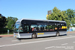 Van Hool NewA330 FC n°7217 (87-BRJ-8) sur la ligne 8 (Stadsbus) à Groningue (Groningen)