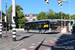 Van Hool NewA330 FC n°7217 (87-BRJ-8) sur la ligne 8 (Stadsbus) à Groningue (Groningen)