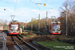 Duewag MGT6D n°614 et n°645 sur la ligne 4 (MDV) à Halle