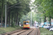 WU-BBC GT8-D n°213 sur la ligne 5 (KVV) à Karlsruhe
