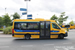 Mercedes-Benz Sprinter III Altas Cityline n°1913 (26-BZR-8) sur la ligne 5 (Qbuzz Fryslân) à Leeuwarden
