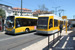 Siemens-CAF Elétrico Articulado n°502 sur la ligne 15E (CCFL - Carris) à Lisbonne (Lisboa)