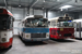 Saviem SC5 P (4150 QS 69) et Berliet PH 10/100 n°2502 (9975 LD 69) du Rétro Bus Lyonnais