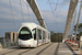 Alstom Citadis 302 n°815 sur la ligne T1 (TCL) à Lyon