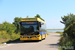 Ebusco 2.2 12 LF Electric n°6136 (10-BLZ-9) sur la ligne 1 (Qbuzz Fryslân) à Oost-Vlieland