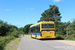Ebusco 2.2 12 LF Electric n°6136 (10-BLZ-9) sur la ligne 1 (Qbuzz Fryslân) à Oost-Vlieland