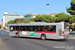Rome Bus 217