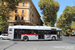 Rome Bus 490
