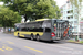 MAN A36 NL 363-13.7 Lion's City C n°600 (BE 849 600) sur la ligne 31 (STI Bus) à Thoune (Thun)