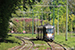 BN PCC 7900 n°7921 sur la ligne 44 (STIB - MIVB) à Tervuren