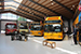 DAB 15-1200C Citybus CNG n°5202 (PP 94 099) au Sporvejsmuseet Skjoldenæsholm à Jystrup