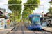 Alstom Citadis 401 n°2029 sur la ligne 1 (TAM) à Montpellier