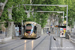 Alstom Citadis 302 sur la ligne 4 (TAM) à Montpellier